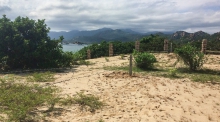 Bát nháo buôn bán đất đai tại xã đảo ở Cam Ranh