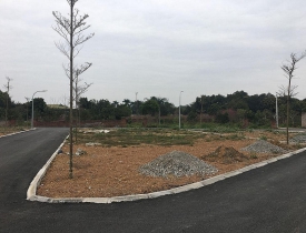 Ôm mảnh ruộng ngàn m2 rồi bỏ hoang: Giấc mộng 10 năm ăn cú đậm