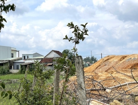 Quảng Nam: Giải quyết tồn tại trong việc cấp sổ đỏ ghi mục đích sử dụng là “đất thổ cư” hoặc “đất ở và vườn”